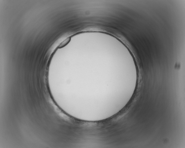 X0000110900909200907161548