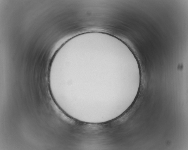 X0000110900910200907161548