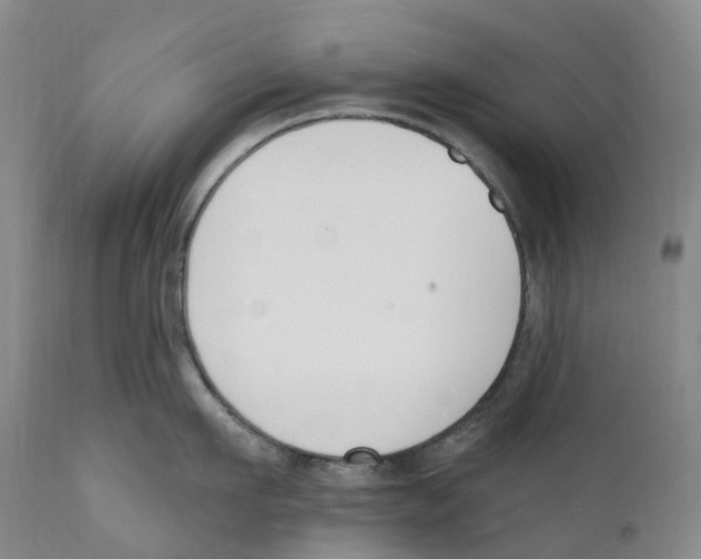 X0000110900911200907161548