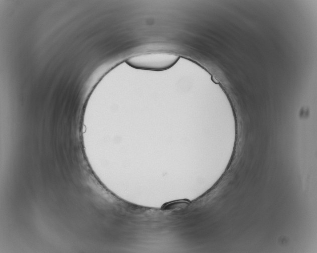 X0000110900912200907161548