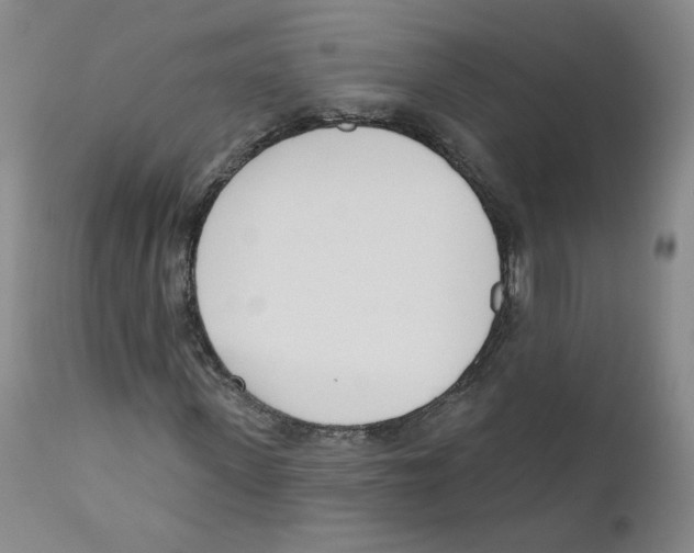 X0000110900915200907161547