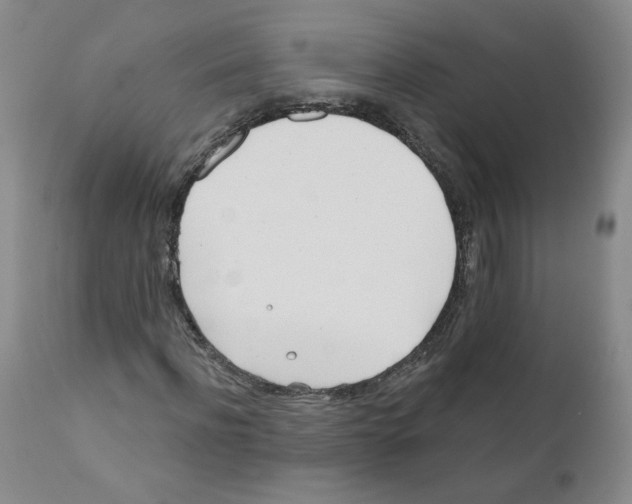 X0000110900916200907161547