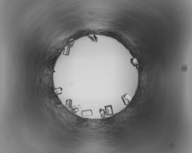 X0000110900917200907161547