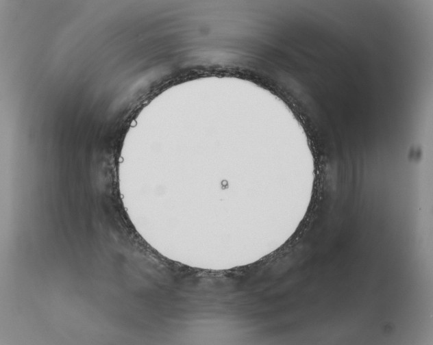 X0000110900918200907161547