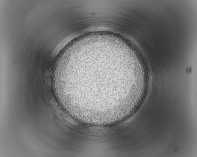 X0000110900921200907161547