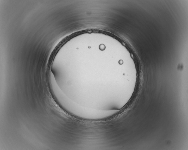 X0000110900924200907161547