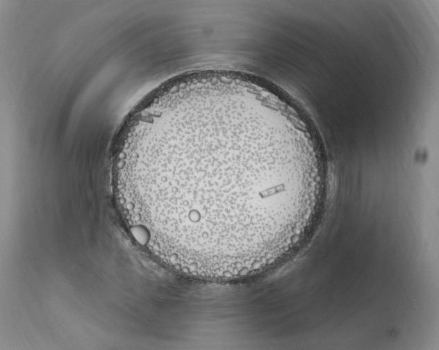 X0000110900925200907161547