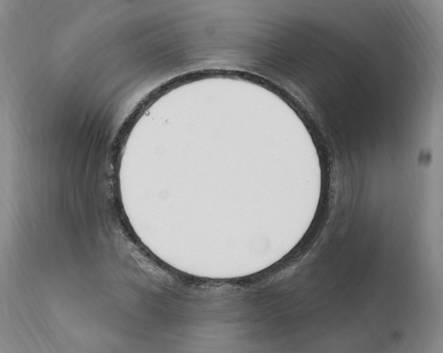 X0000110900926200907161547