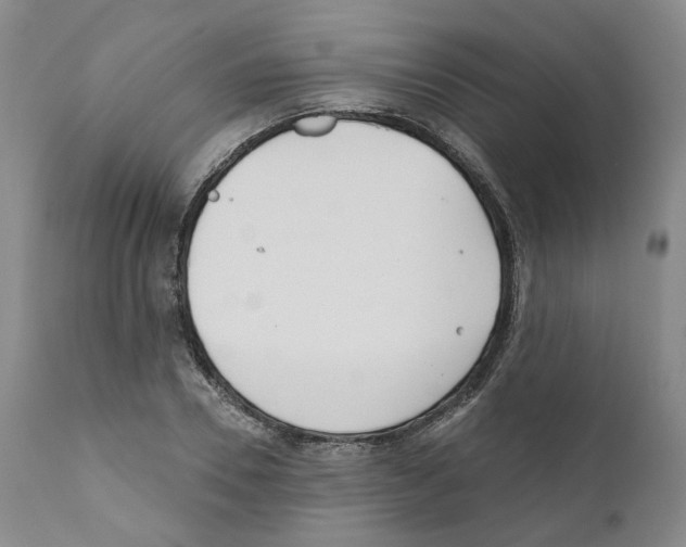 X0000110900930200907161547