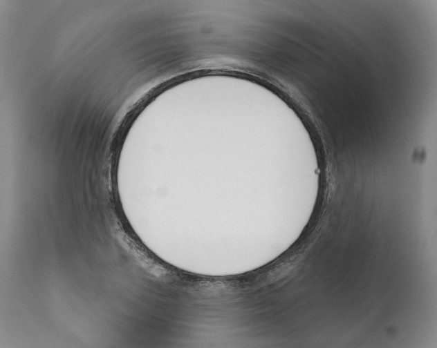 X0000110900931200907161547