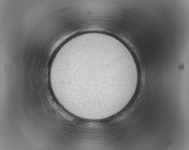 X0000110900933200907161547