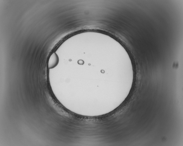 X0000110900934200907161547