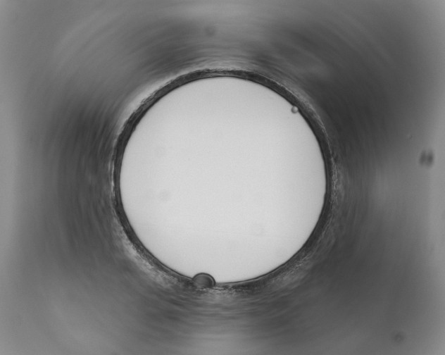 X0000110900935200907161547