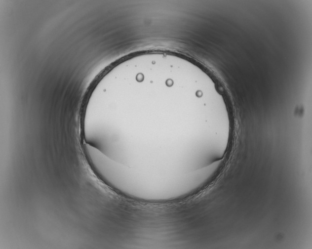 X0000110900936200907161547