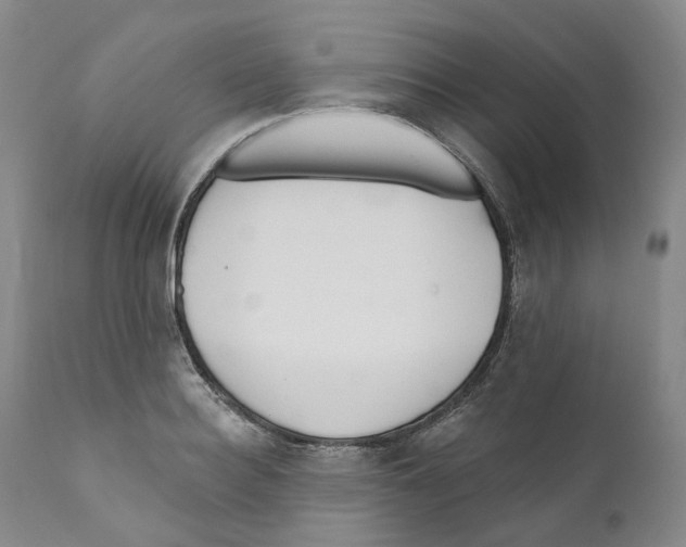 X0000110900940200907161548