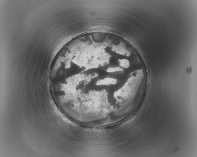 X0000110900941200907161548