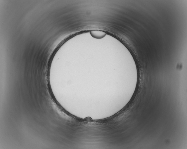 X0000110900942200907161548