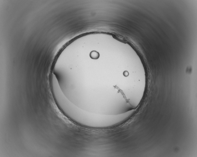 X0000110900944200907161548