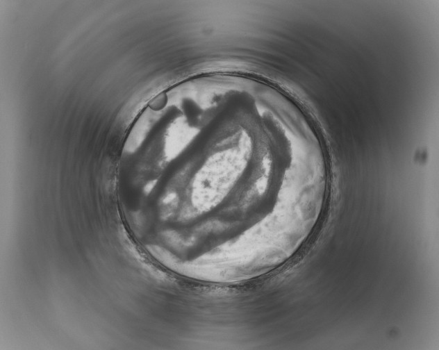 X0000110900945200907161548