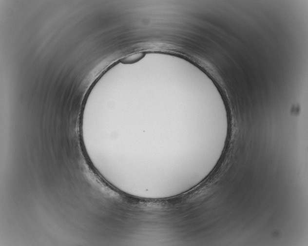 X0000110900946200907161548