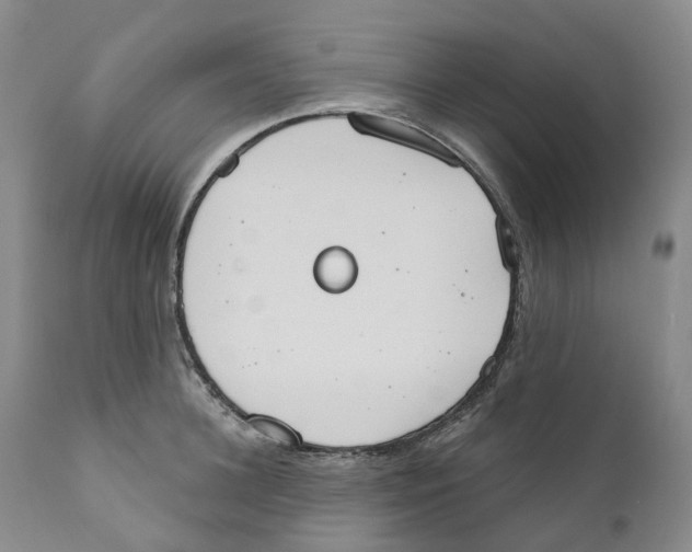 X0000110900948200907161548