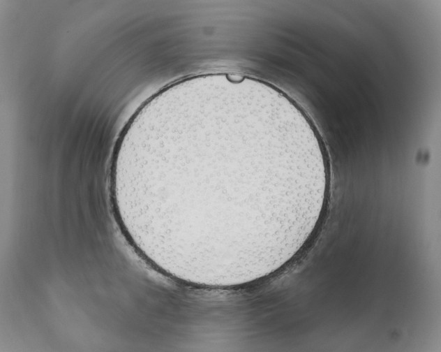 X0000110900949200907161548