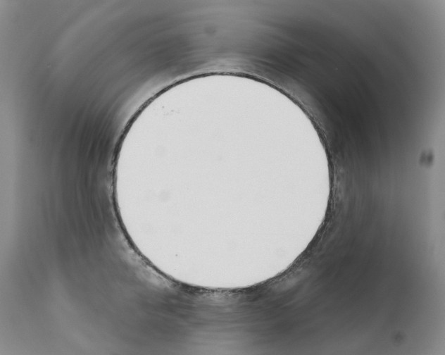 X0000110900950200907161548