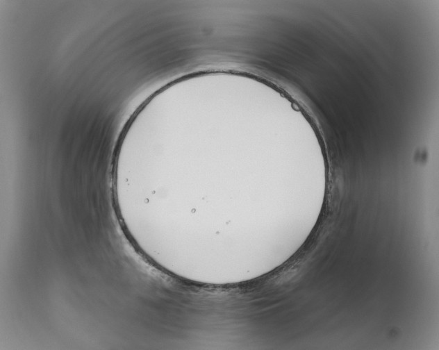 X0000110900951200907161548