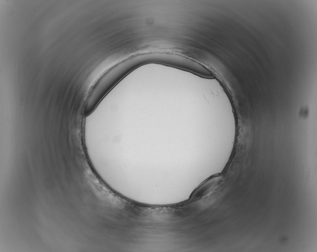 X0000110900952200907161548