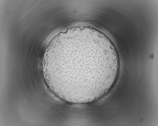 X0000110900953200907161548