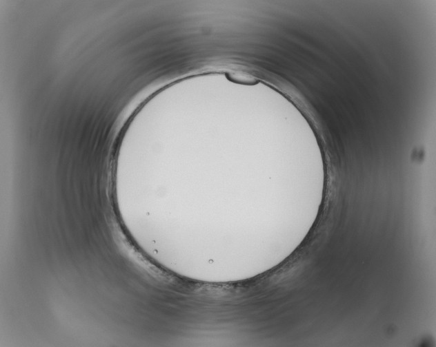 X0000110900955200907161548