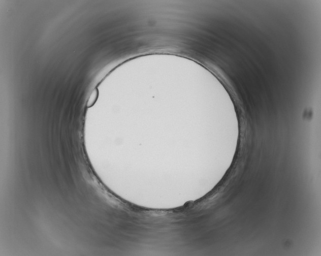 X0000110900956200907161548