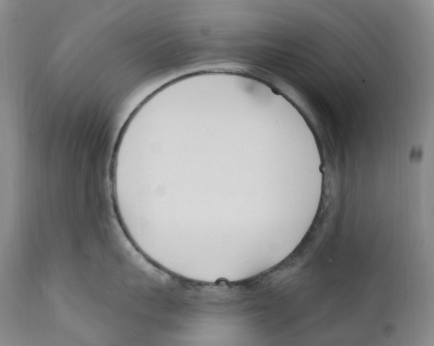 X0000110900959200907161548