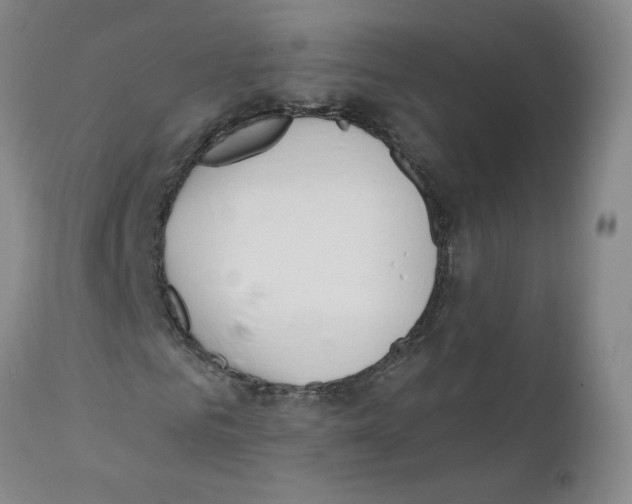 X0000110900961200907161547