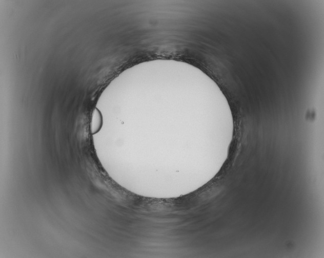 X0000110900962200907161547