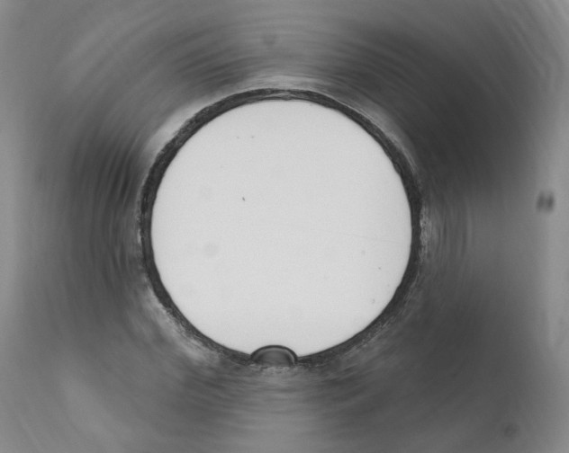 X0000110900972200907161547