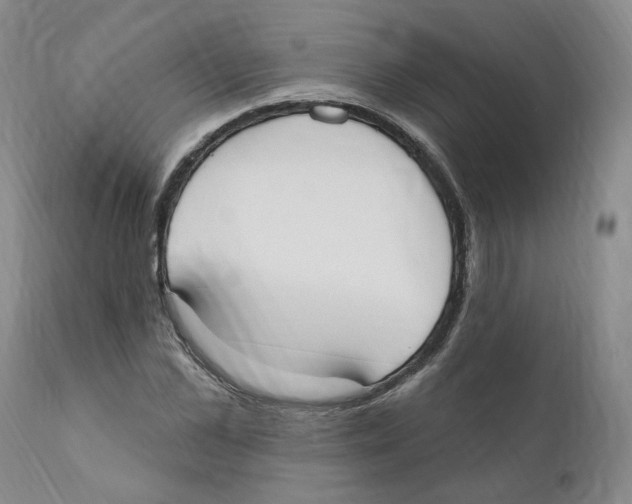 X0000110900973200907161547