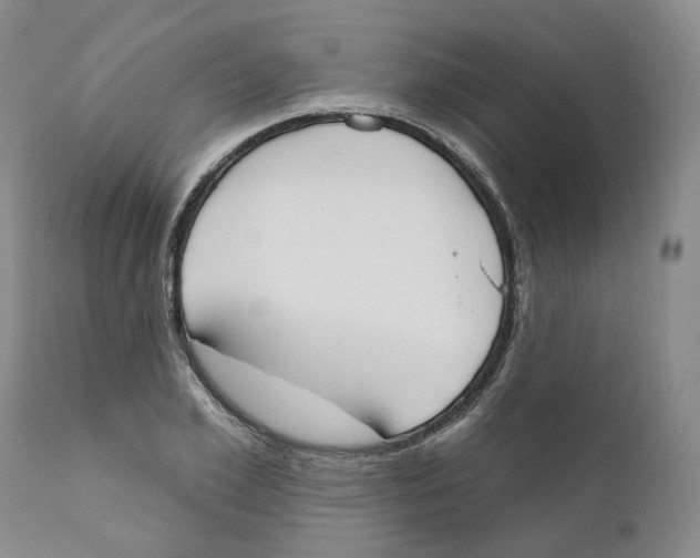 X0000110900981200907161547