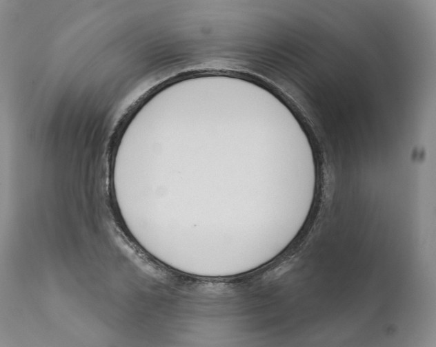 X0000110900982200907161547