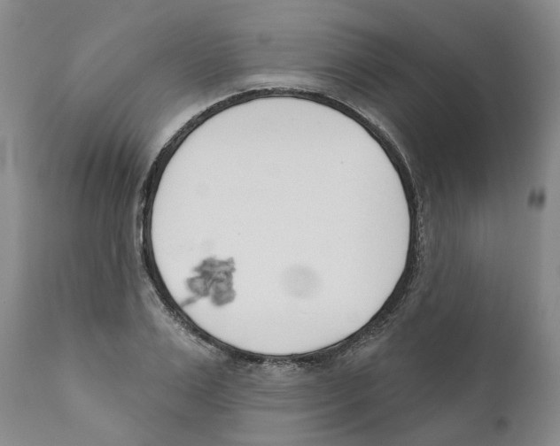 X0000110900983200907161547