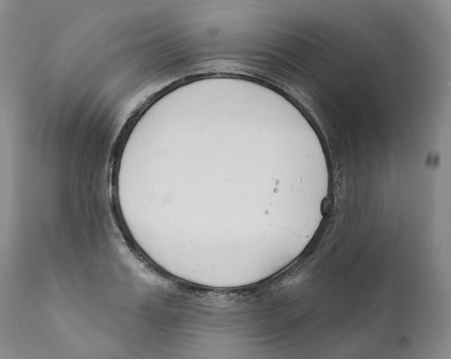 X0000110900987200907161547