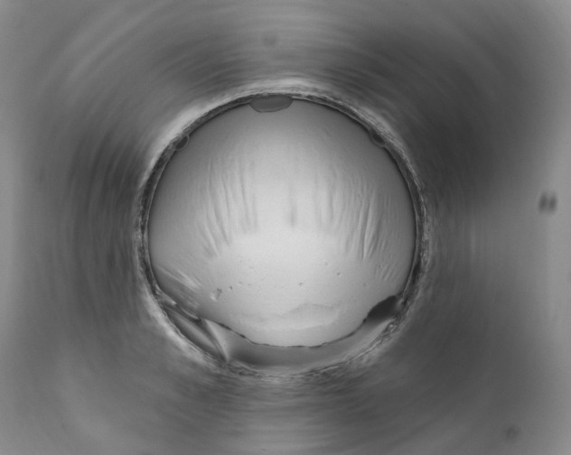 X0000110900989200907161547