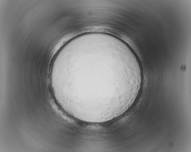 X0000110900994200907161547