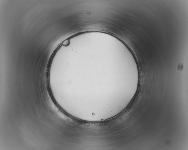 X0000110900995200907161547