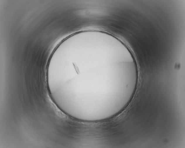 X0000110900996200907161547