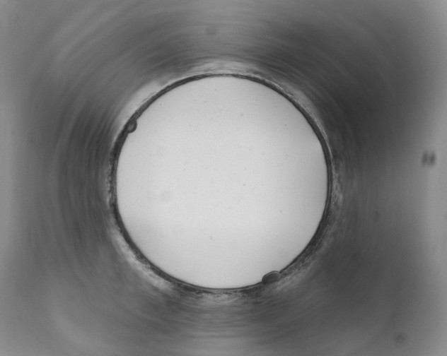 X0000110900997200907161547