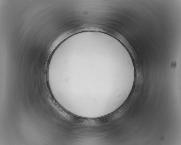 X0000110901002200907161547