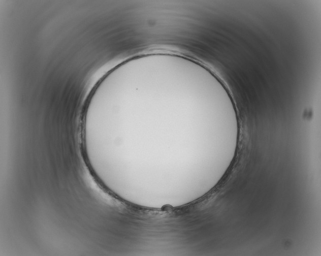 X0000110901003200907161547