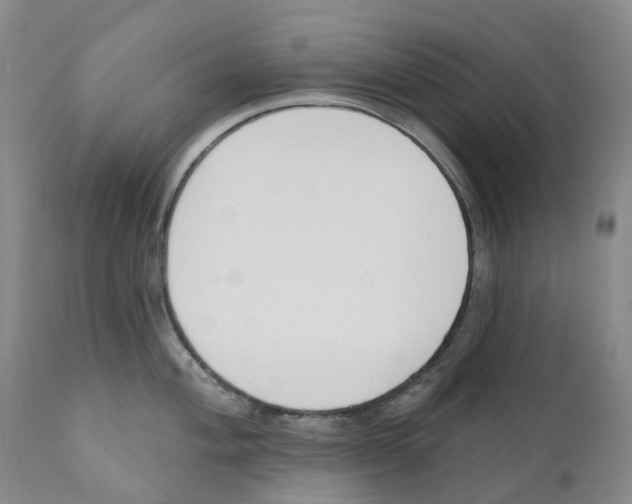 X0000110901004200907161547