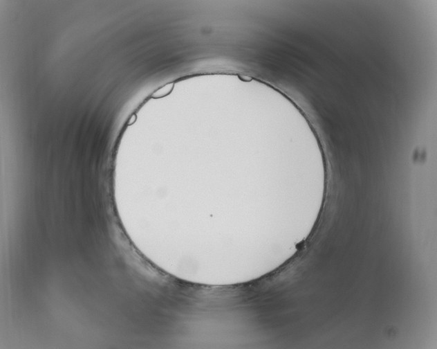 X0000110901008200907161546